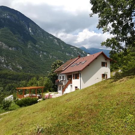 Apartma Elizabeth Apartman Srpenica Kültér fotó